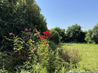 Freistehendes 1-2-Fam.-Haus mit ELW in Feldrandlage von Edingen - VERKAUFT