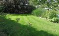 weitläufiger Garten