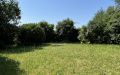 10c  Garten