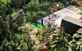 2 Garten mit Terrasse