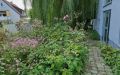35 Garten