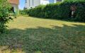 10 Garten