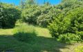 34 Ausblick Garten, Nachbargrundstück