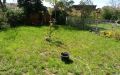 Garten 1