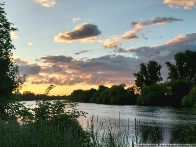 Wohn- u. Geschäftshs. mit Scheune u. Hinterhaus zum Neckar in Edingen - 60003985