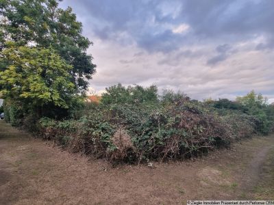 Bauplatz in TOP-Lage von MA-Seckenheim - 0-4004 - RESERVIERT