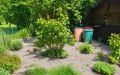 36 Hinter dem Gartenhaus, KI opt