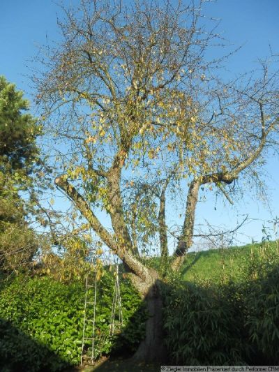 Kinderfreundliches Haus in hervorragender Lage, Edingen-Neckarhausen