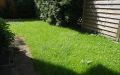 Garten Teilansicht