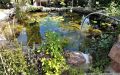 09 Gartenteich