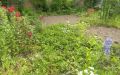 Bauerngarten