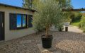 24 Innenhof im Sommer