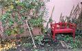 Gartenimpression A